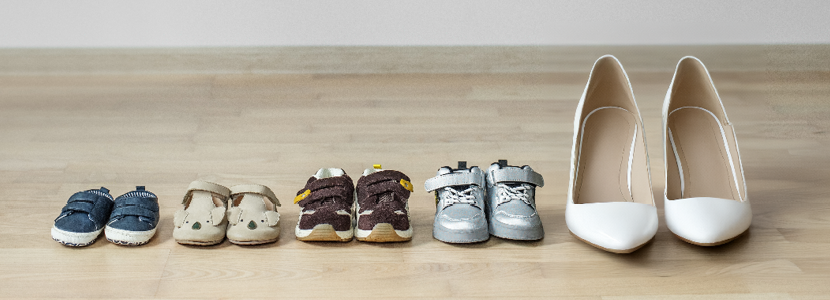 Beginners guide Surveyworld